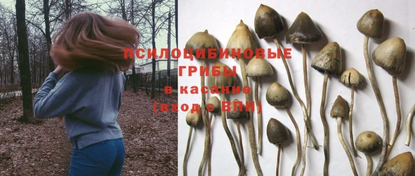 каннабис Аркадак