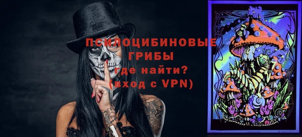 прущий лед Арсеньев