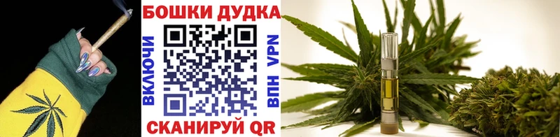 закладки  Артёмовский  Канабис сатива 